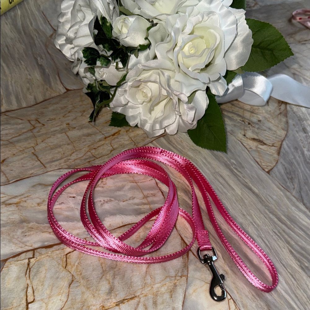 Pink Nylon Pet Leash‎ Chrome Swivel Snap Hook Dog Cat Lead Small Medium